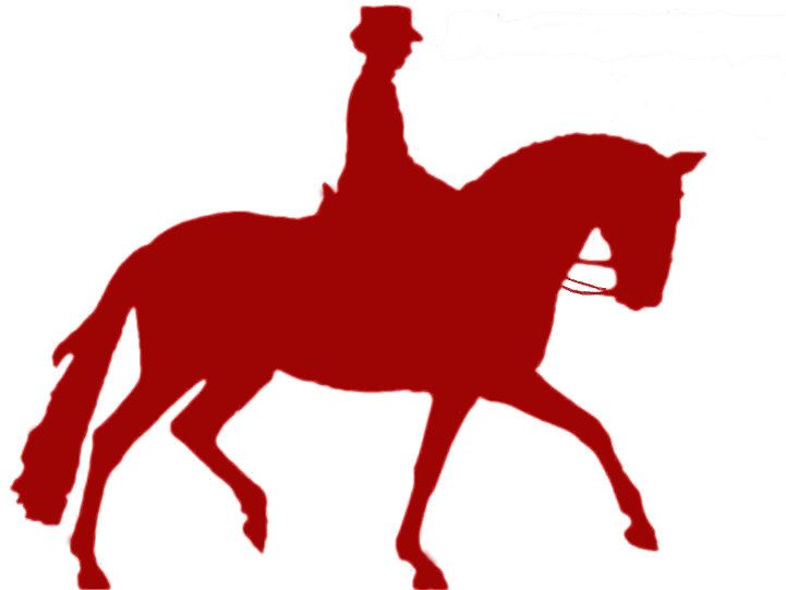 Maude Silvestre Dressage